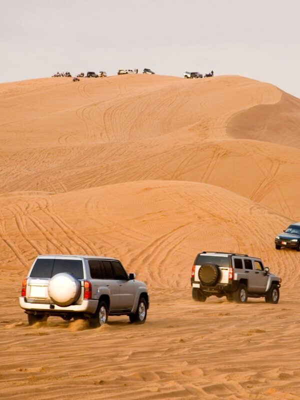 Desert Safar