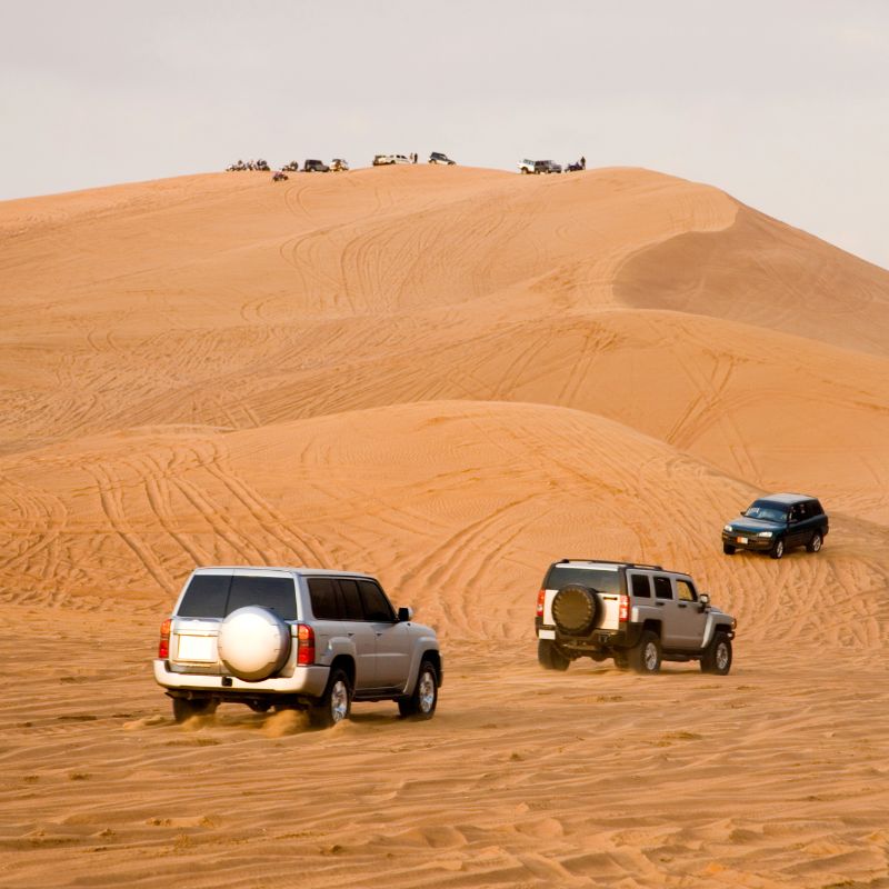 Desert Safar