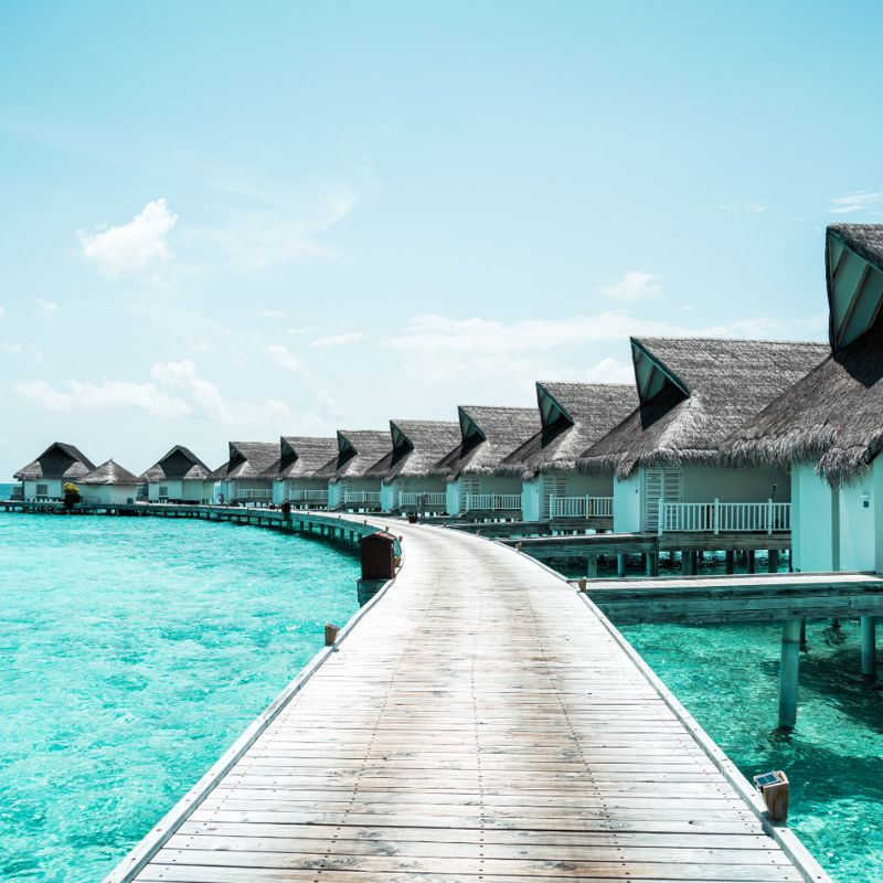 Paradise Island 2