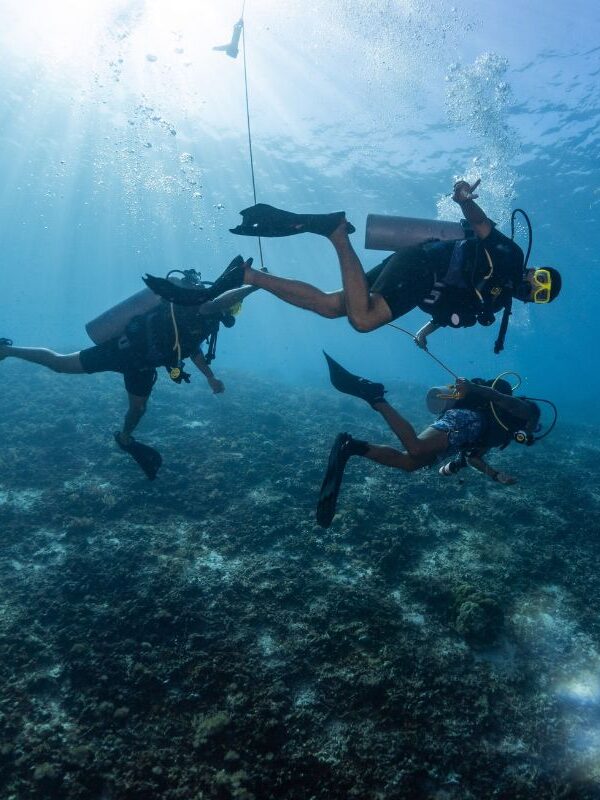Snorkeling