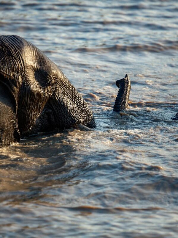 Snorkelling at Elephant Beach